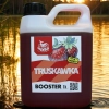 Atraktor wędkarski Booster Truskawka GigaBait.pl